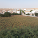 معقب صحة