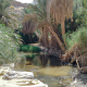 معقب طلاق