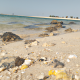 معقب شاطر في الرياض