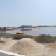معقب في هيئة التخصصات الصحية