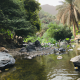 معقب فيزا الرياض