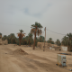 معقب ضباء
