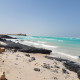 معقب شاطر في الجوازات