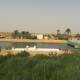 معقب حراج جده