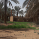 رقم معقب